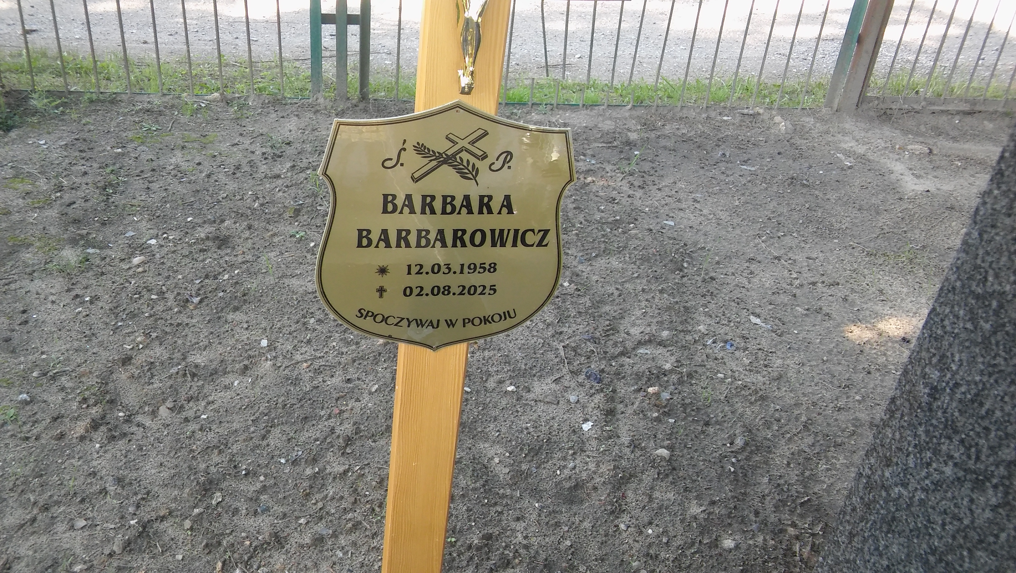 Grób Alfred Barbarowicz